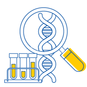 Medical Education Animation